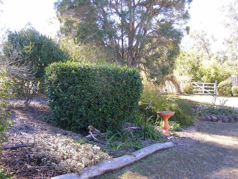 Photo - 44 Hines Road, Wondai QLD 4606 - Image 24