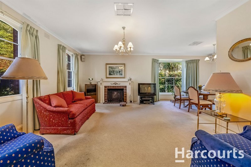 Photo - 44 Holyrood Drive, Vermont VIC 3133 - Image 6