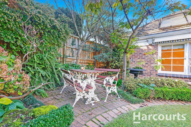 Photo - 44 Holyrood Drive, Vermont VIC 3133 - Image 16