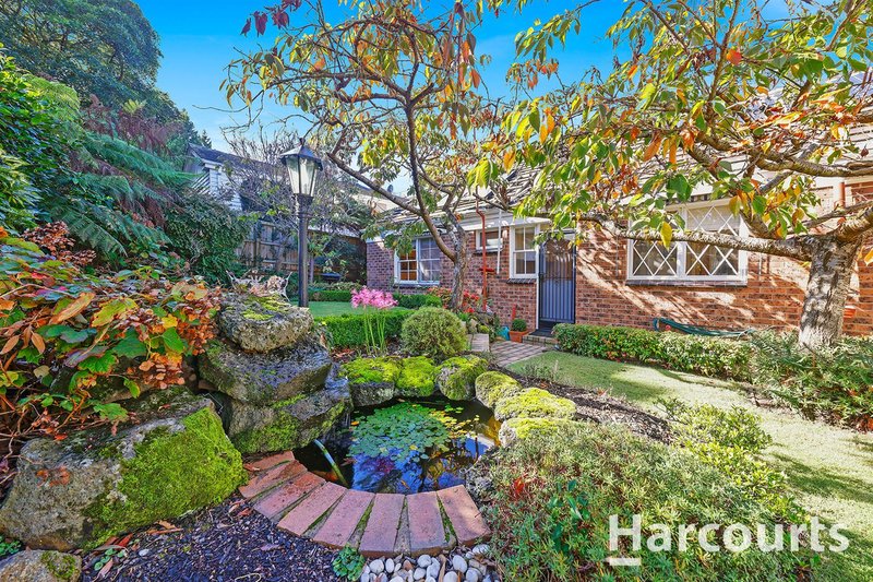 Photo - 44 Holyrood Drive, Vermont VIC 3133 - Image 17