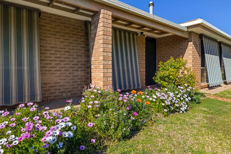 Photo - 44 Karoom Drive, Glenfield Park NSW 2650 - Image 2