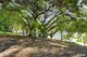 Photo - 44 Keesing Road, Douglas QLD 4814 - Image 23