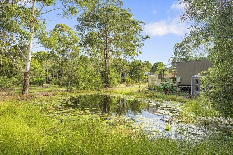 Photo - 44 Lee Place, Logans Crossing NSW 2439 - Image 16