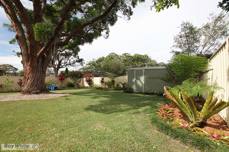 Photo - 44 Likely Street, Forster NSW 2428 - Image 6