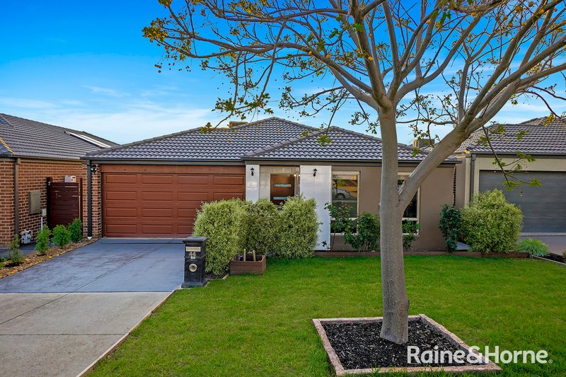 Photo - 44 Macumba Drive, Clyde North VIC 3978 - Image 2