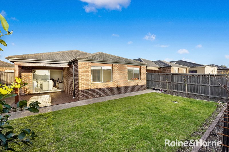 Photo - 44 Macumba Drive, Clyde North VIC 3978 - Image 14