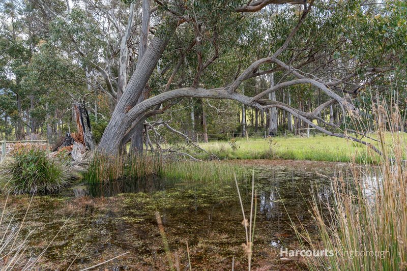 Photo - 44 Mckenzies Road, Leslie Vale TAS 7054 - Image 19