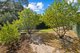 Photo - 44 Murrays Hill Road, Coromandel Valley SA 5051 - Image 21