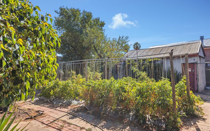 Photo - 44 Norma Street, Mile End SA 5031 - Image 12