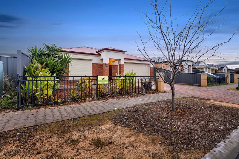 Photo - 44 Riesling Crescent, Andrews Farm SA 5114 - Image 4