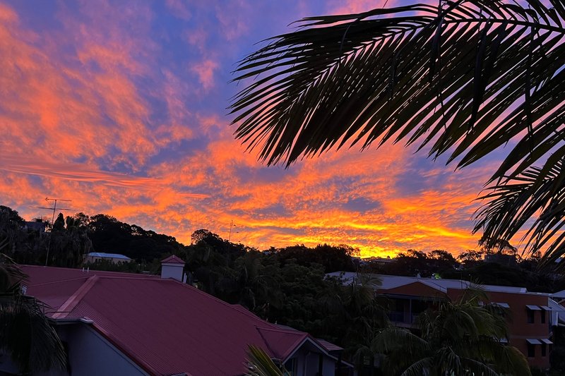 Photo - 4/4 Rosebery Place, Balmain NSW 2041 - Image 8