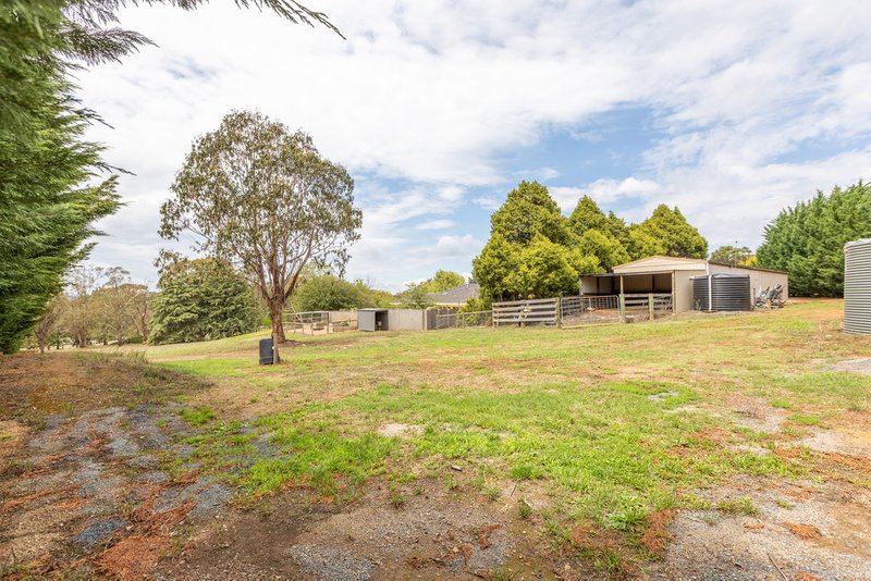 Photo - 44 Rossiville Road, Goulburn NSW 2580 - Image 17