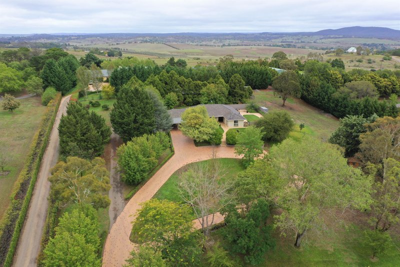 Photo - 44 Rossiville Road, Goulburn NSW 2580 - Image 18