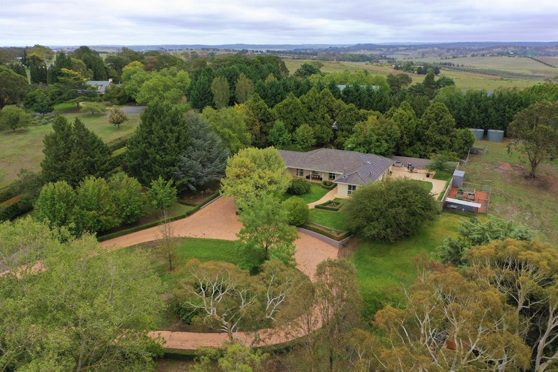 Photo - 44 Rossiville Road, Goulburn NSW 2580 - Image 19