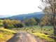 Photo - 44 Smarts Road, Kangaroo Valley NSW 2577 - Image 6