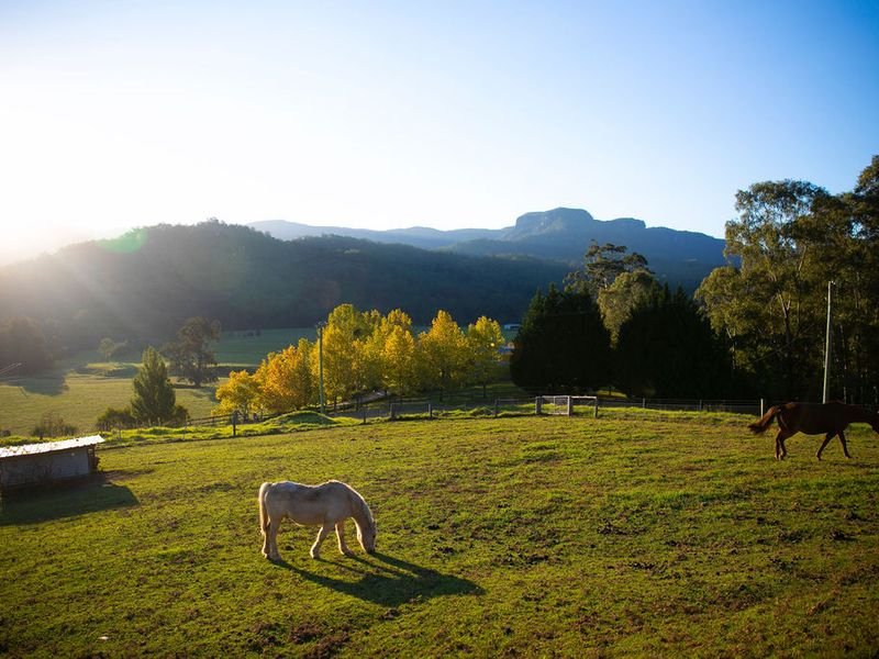 Photo - 44 Smarts Road, Kangaroo Valley NSW 2577 - Image 23