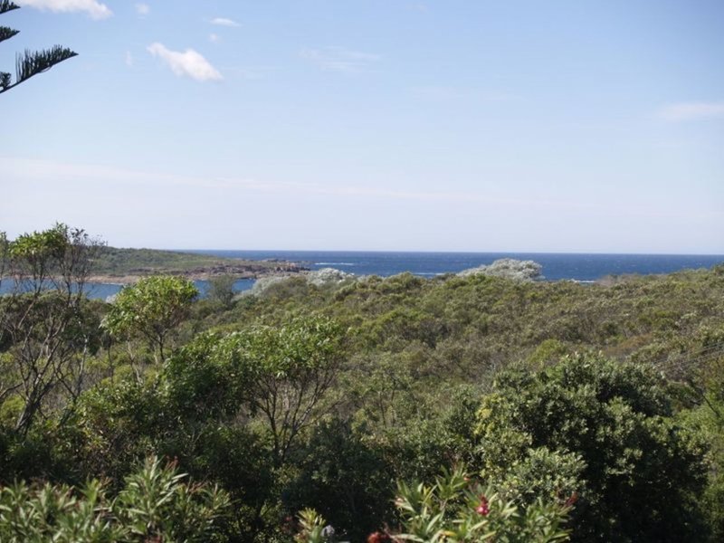 Photo - 44 Squire Street, Fingal Bay NSW 2315 - Image 4