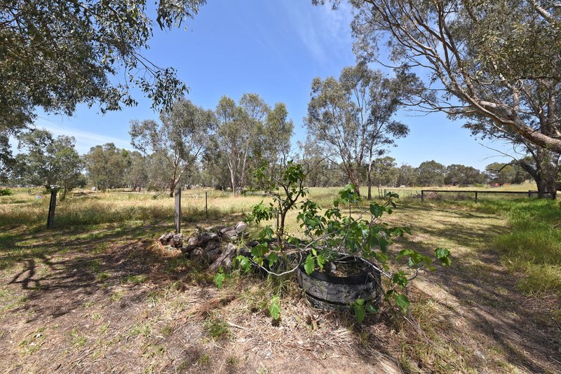 Photo - 44 Stock Road, Herne Hill WA 6056 - Image 11