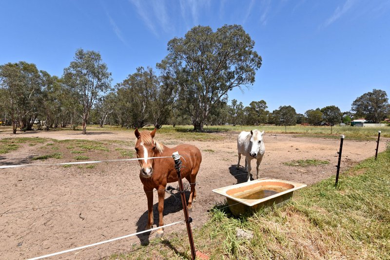 Photo - 44 Stock Road, Herne Hill WA 6056 - Image 15