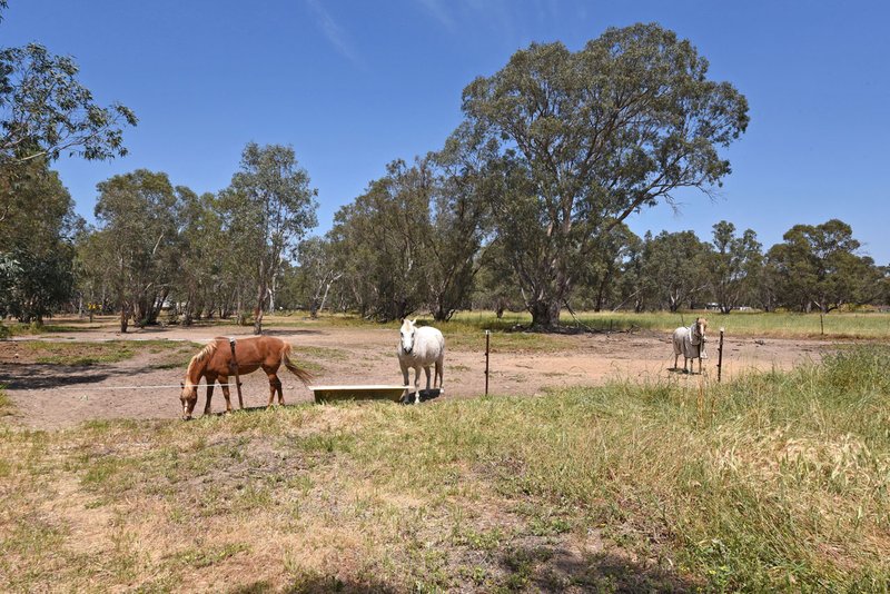 Photo - 44 Stock Road, Herne Hill WA 6056 - Image 17