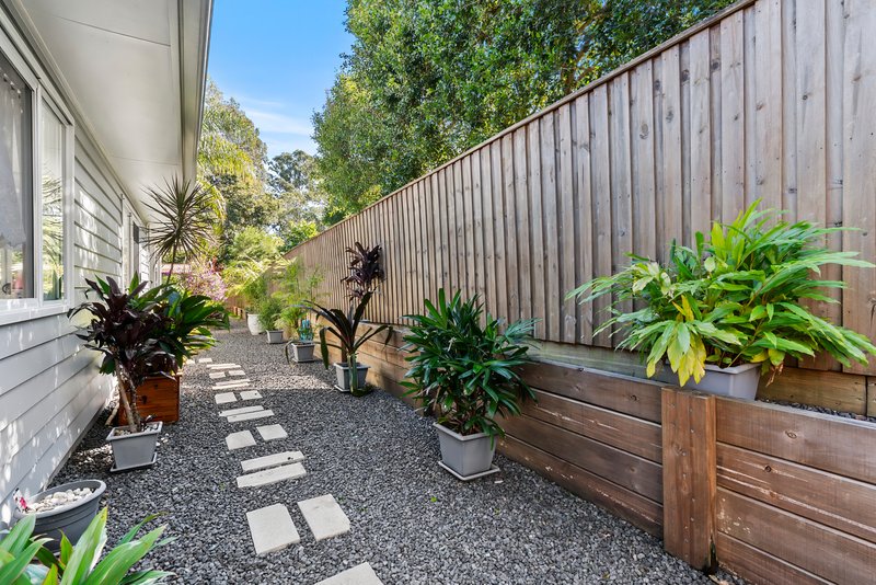 Photo - 44 Tewah Road, Boreen Point QLD 4565 - Image 15