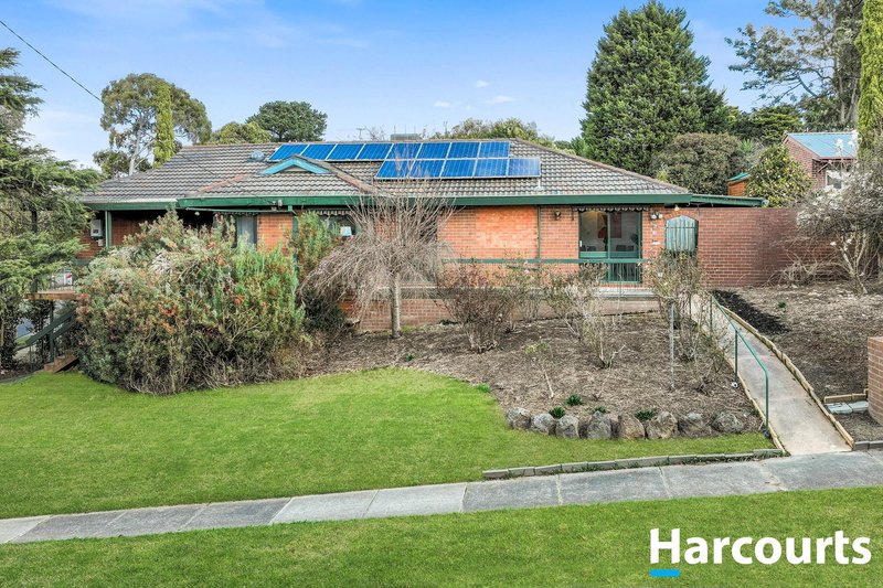 Photo - 44 Wildwood Avenue, Vermont South VIC 3133 - Image 17