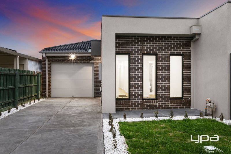 44 Wintersun Drive, Albanvale VIC 3021