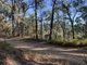 Photo - 44 Yarrayne Road, Nerang QLD 4211 - Image 23