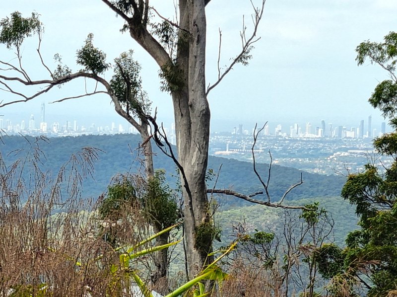 Photo - 440-444 Henri Robert Drive, Tamborine Mountain QLD 4272 - Image 2