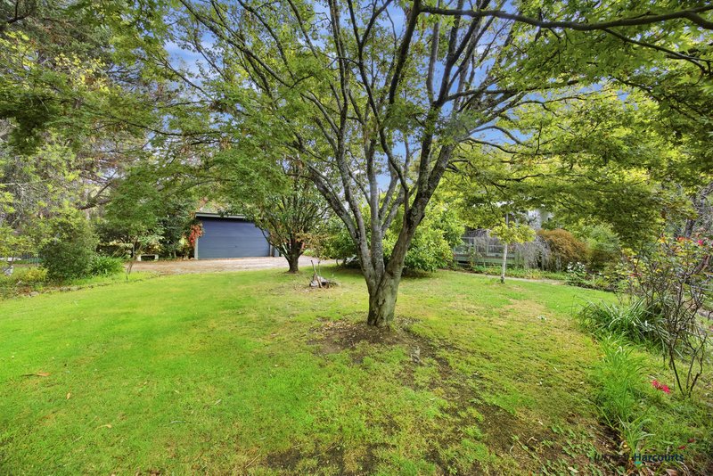 Photo - 440 Goulburn Valley Highway, Eildon VIC 3713 - Image 21