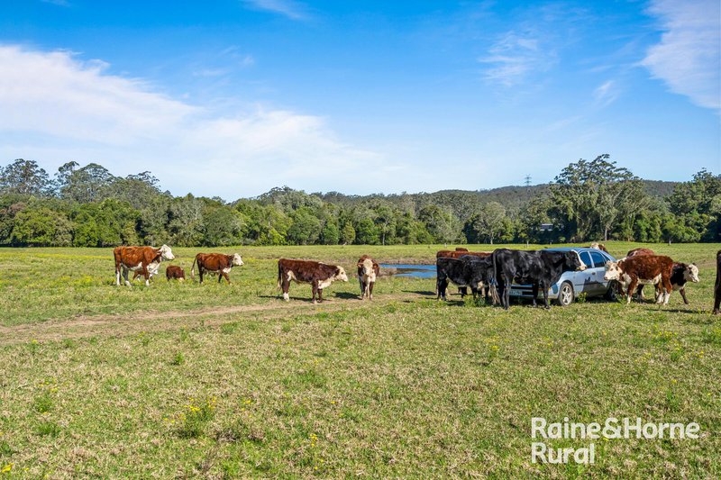 Photo - 440 Martinsville Road, Martinsville NSW 2265 - Image 5