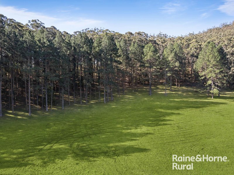 Photo - 440 Martinsville Road, Martinsville NSW 2265 - Image 28