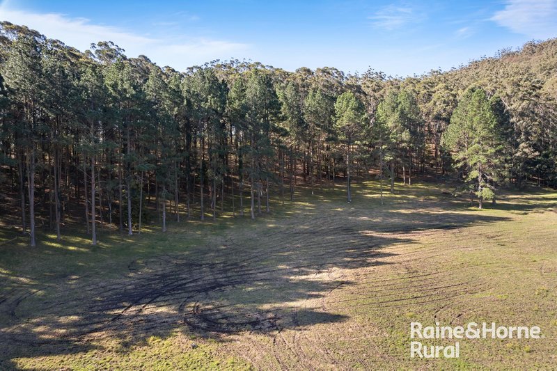 Photo - 440 Martinsville Road, Martinsville NSW 2265 - Image 35