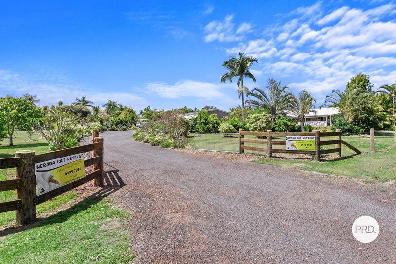 Photo - 440 Nerada Road, Tinana South QLD 4650 - Image 22