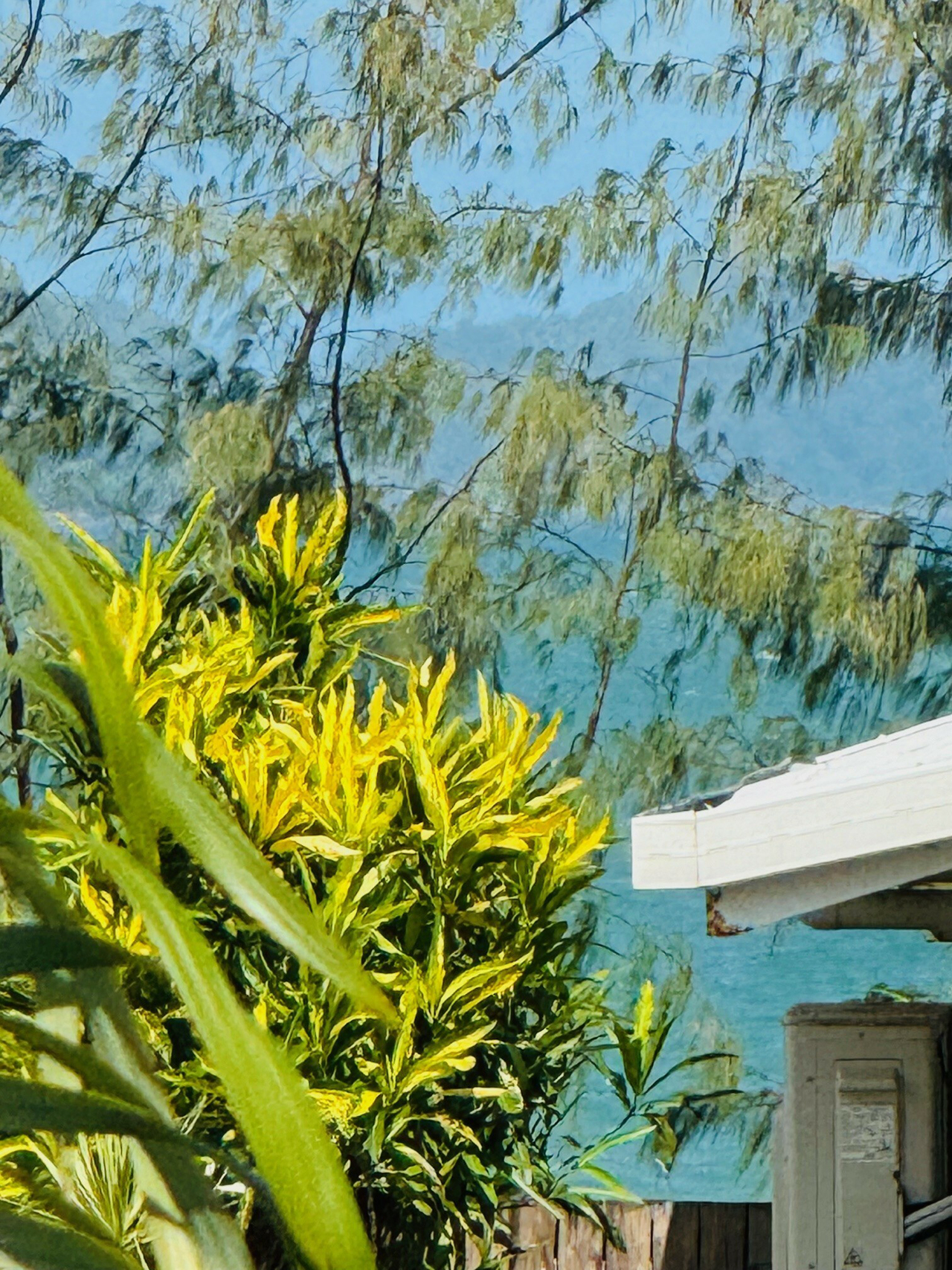 4/40 Wall Street, South Mission Beach, QLD 4852 - Image 7