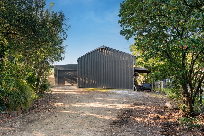 Photo - 440 Warrandyte Road, Langwarrin South VIC 3911 - Image 21