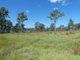 Photo - 44014 Bruce Highway, Miriam Vale QLD 4677 - Image 15