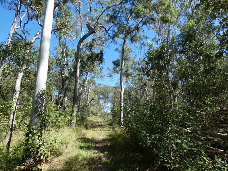 Photo - 44014 Bruce Highway, Miriam Vale QLD 4677 - Image 25