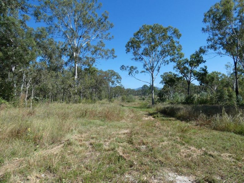 Photo - 44014 Bruce Highway, Miriam Vale QLD 4677 - Image 26