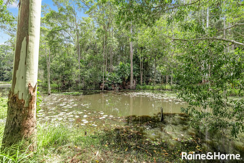 Photo - 441 Dath Henderson Road, Tinbeerwah QLD 4563 - Image 18