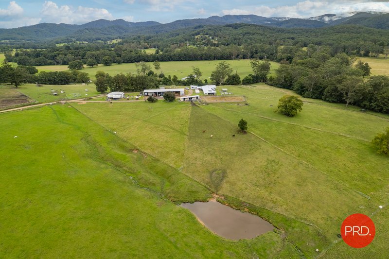 Photo - 441 Eastbank Road, Coramba NSW 2450 - Image 2