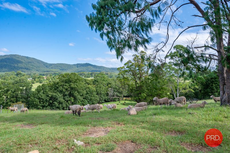 Photo - 441 Eastbank Road, Coramba NSW 2450 - Image 30