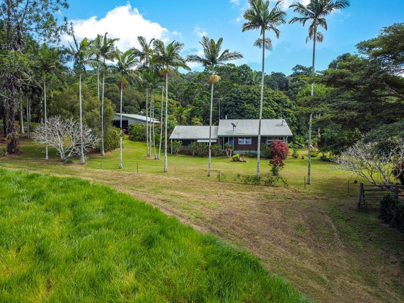 Photo - 4414 Black Mountain Road, Julatten QLD 4871 - Image 6