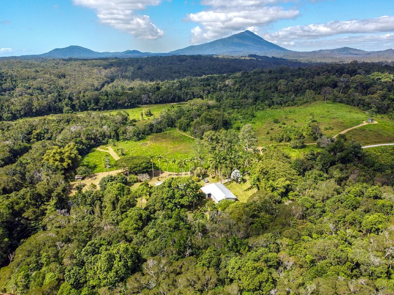 Photo - 4414 Black Mountain Road, Julatten QLD 4871 - Image 7