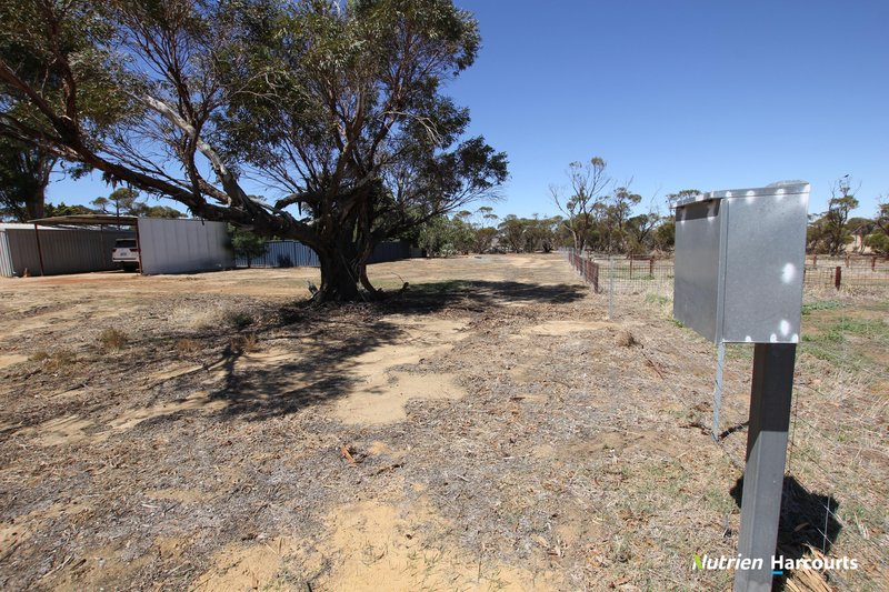 Photo - 4417 Bruce Rock-Merredin Road, Merredin WA 6415 - Image 6