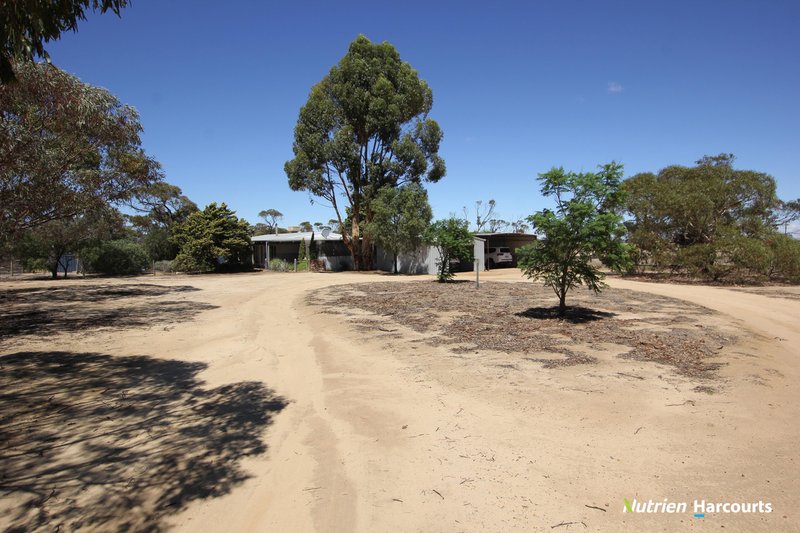 Photo - 4417 Bruce Rock-Merredin Road, Merredin WA 6415 - Image 8