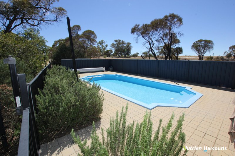 Photo - 4417 Bruce Rock-Merredin Road, Merredin WA 6415 - Image 25