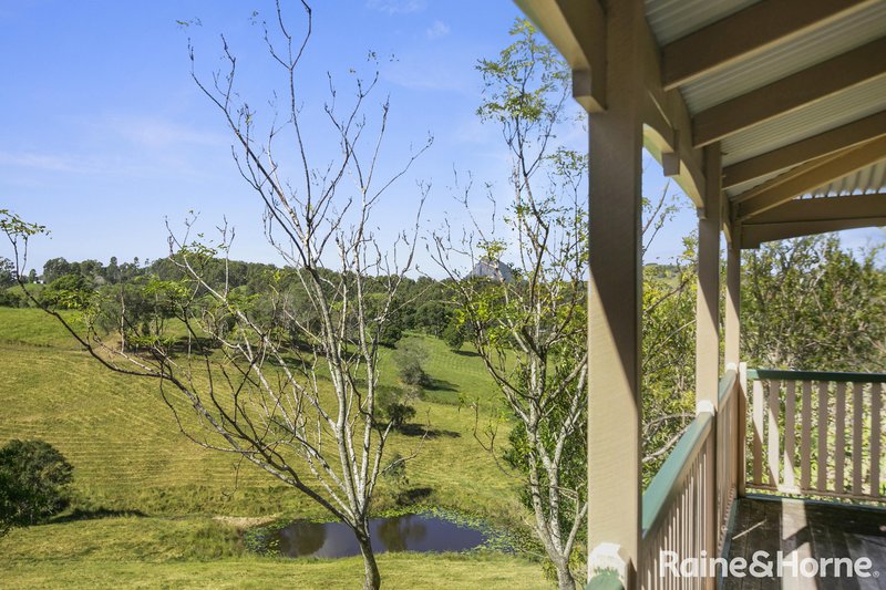 Photo - 442 Coles Creek Road, Cooran QLD 4569 - Image 11