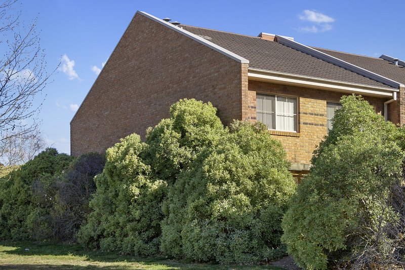 Photo - 44/201 Goyder Street, Narrabundah ACT 2604 - Image 16