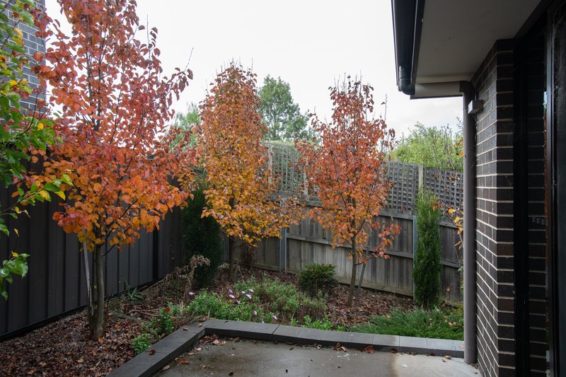 Photo - 4/43 Assisi Avenue, Riverside TAS 7250 - Image 7